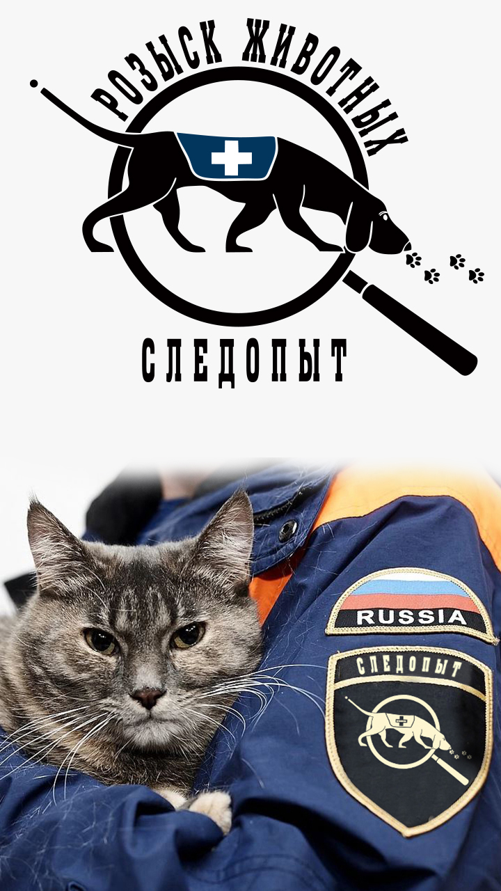 Следопыт