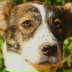 2026-05-31 13:57:36 GMT+00:00