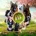 2026-05-31 21:17:02 GMT+00:00