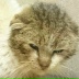 2026-06-03 21:46:28 GMT+00:00