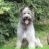 2026-06-03 08:31:26 GMT+00:00