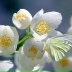 2026-06-03 07:41:15 GMT+00:00