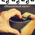 2026-06-03 19:29:08 GMT+00:00