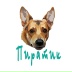 2026-06-02 14:16:16 GMT+00:00