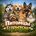 2026-06-05 08:37:04 GMT+00:00