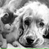 2026-06-05 07:47:16 GMT+00:00
